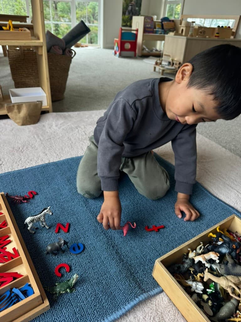 Matching animal figures to initial letter sounds