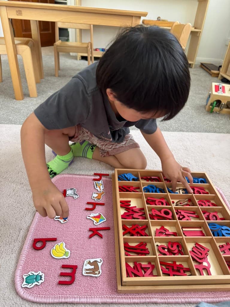 Child matching animals to letters with moveable alphabet