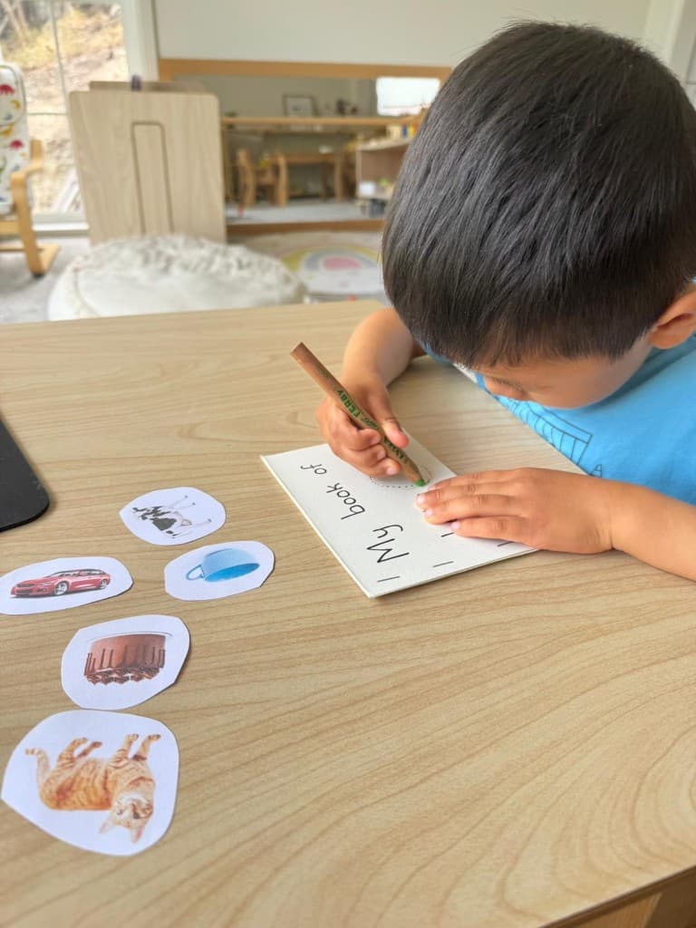 Writing in 'My Book' with picture cards