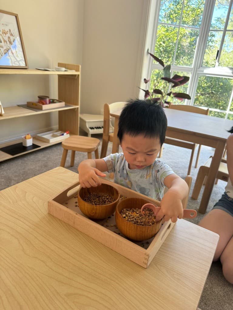 Toddler scooping and transferring beans